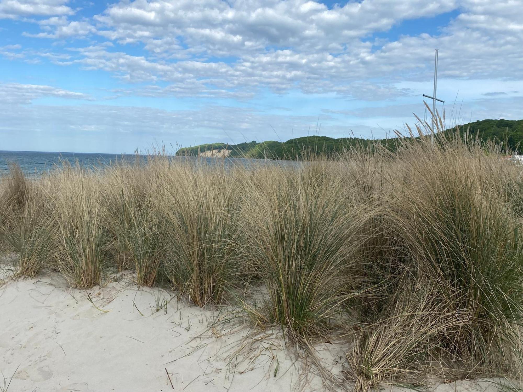 Apartment Ostseebrise Im Ferienpark Sagard Zewnętrze zdjęcie